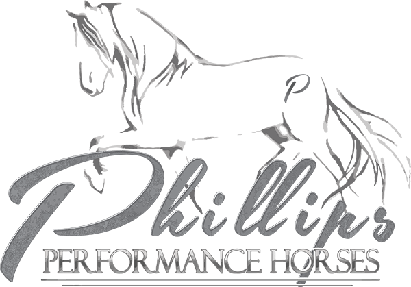 phillips performance horse logo
