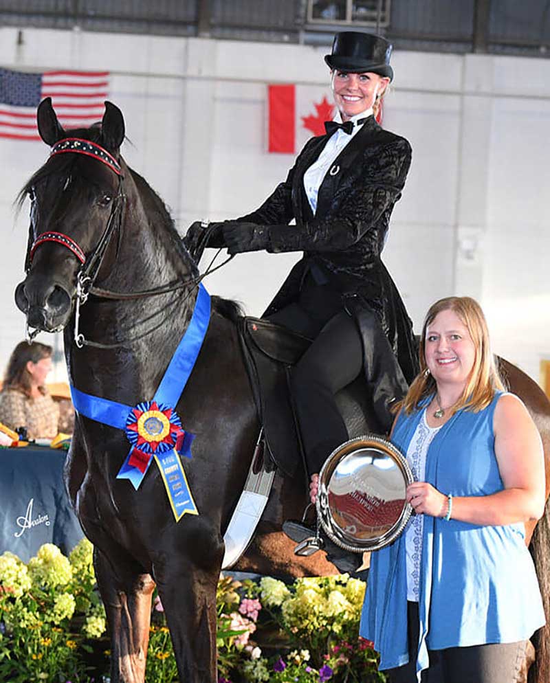 renee-phillips-show-horse-coach-trainer-lessons-nelson-bc